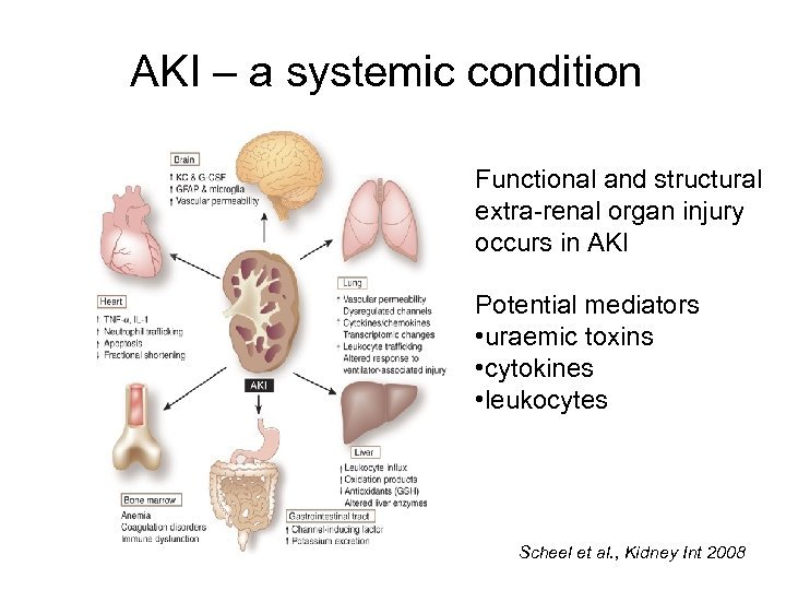 Aki Hayakawa in Death Note Explained Her Role And Importance